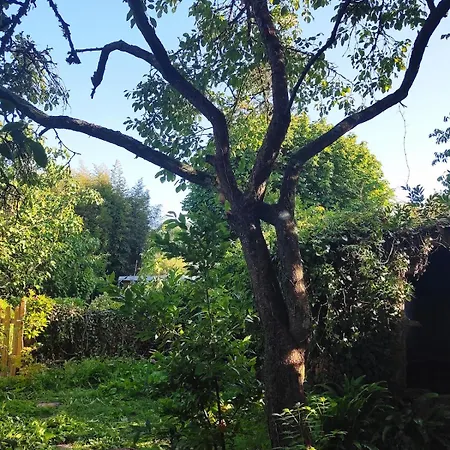 Holiday home La Parenthese Saint-Jean-le-Thomas